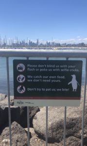 Don't pet the penguins!